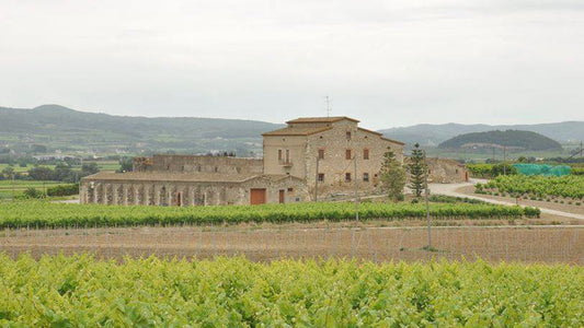 The winery at Spanish cava producer Bodegas Grimau