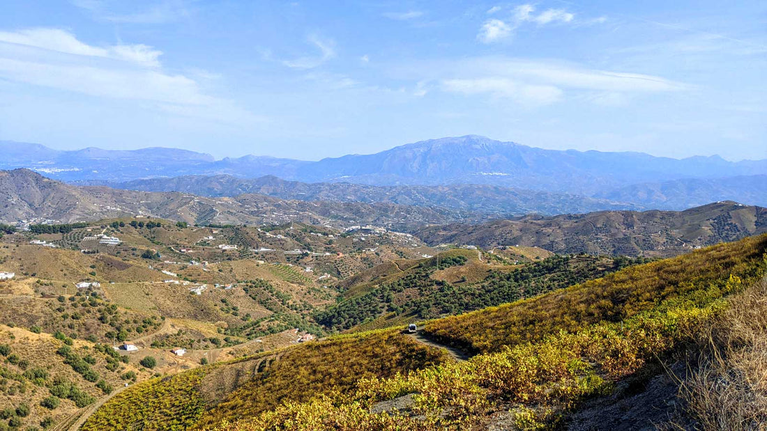 Spanish wine region Sierras de Malaga