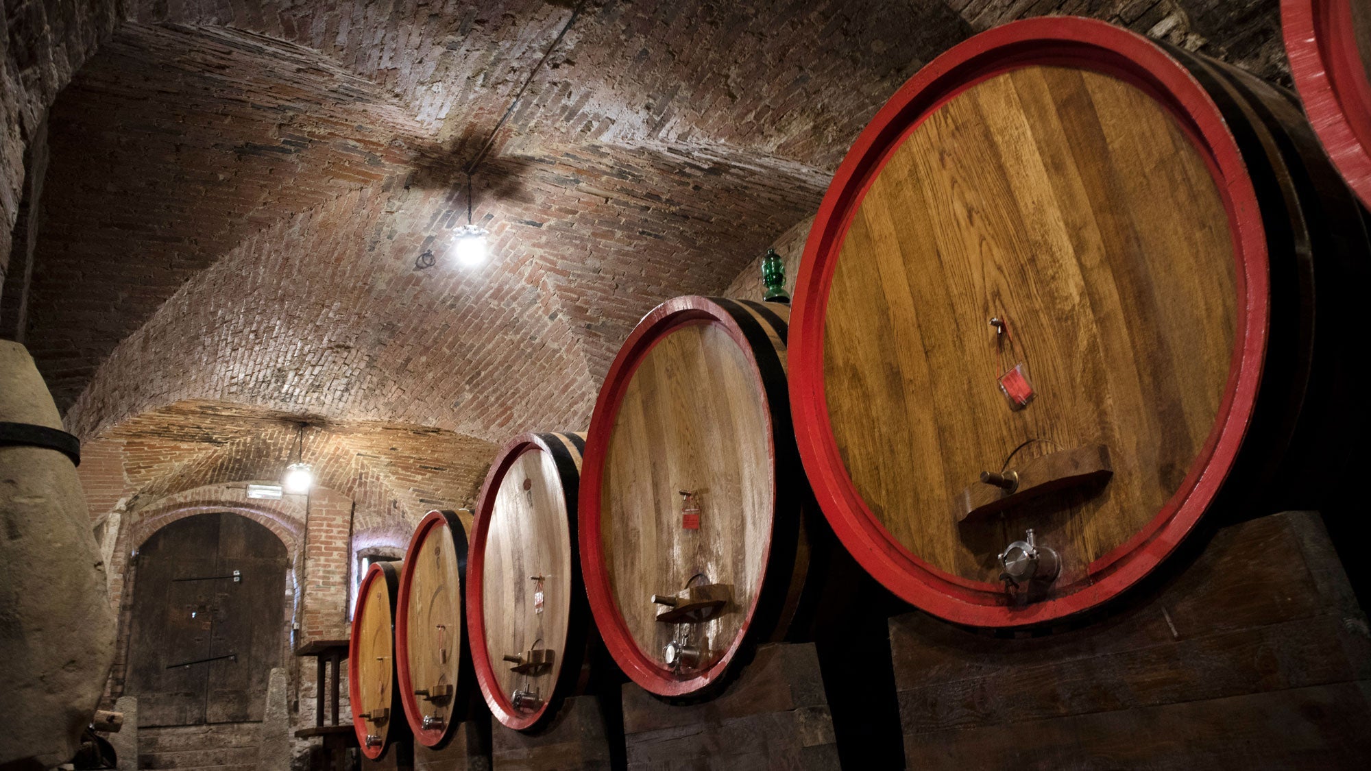 Wooden barrels in the cellar of a winery