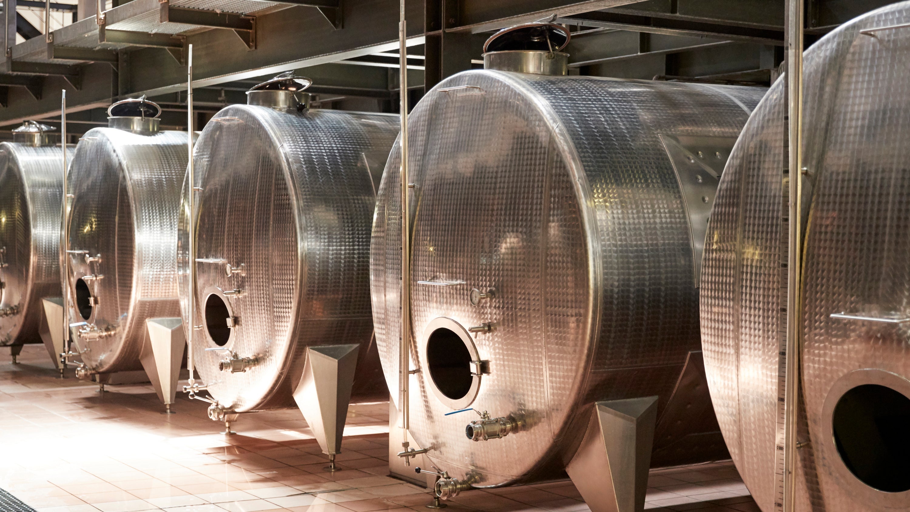 Stainless steel fermenting vessels in a winery