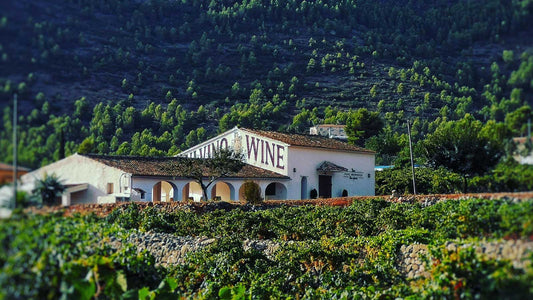 The winery at Spanish wine producer Pepe Mendoza