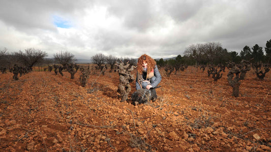 Spanish wine producer Rosalia Molina in one of her vineyards at the Spanish winery Altolandon