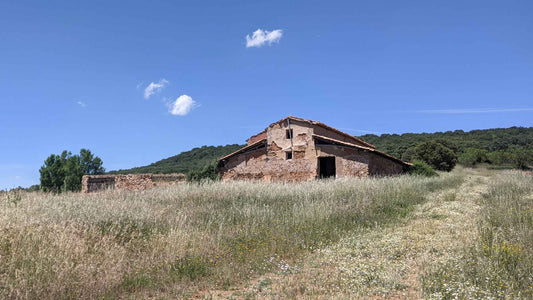 An old building at the Spanish wine producer Casa la Rad