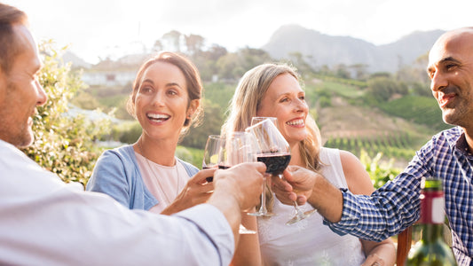 A group of four friends enjoy a glass of wine outdoors