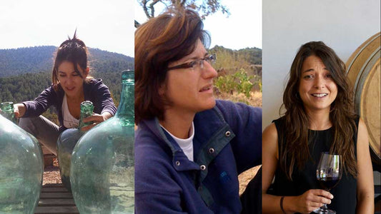 a collage of 3 women winemakers