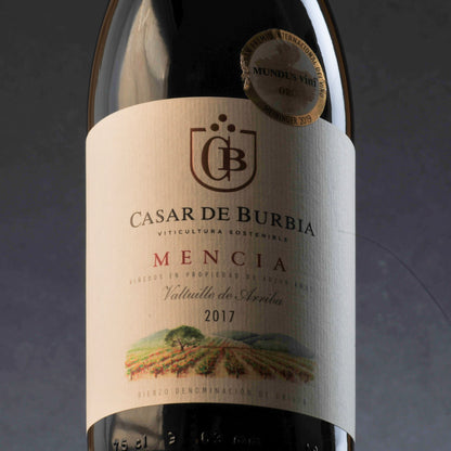 Spanish Red Wine Mencía Mix from Various