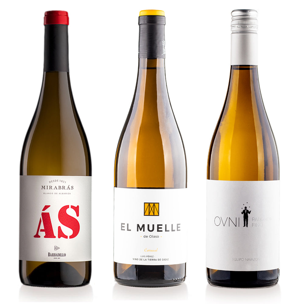 Spanish White Wine Palomino Pack from Various