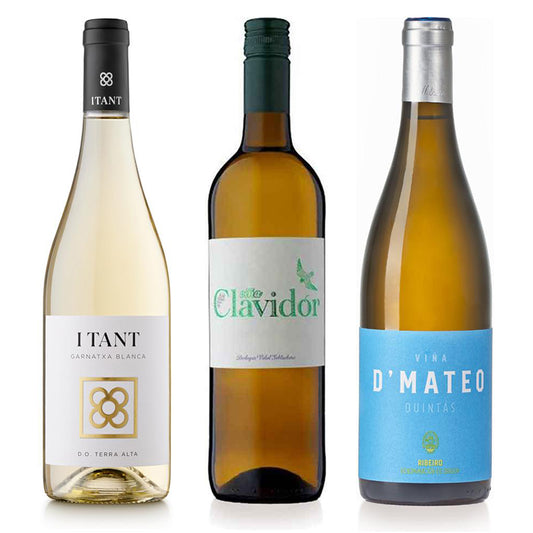 Spanish White Wine Starter Pack - Whites from Various