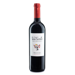 Spanish Red Wine Valsotillo Finca Buenavista from Bodegas Ismael Arroyo